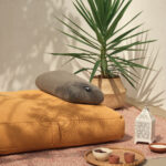 Pillow S