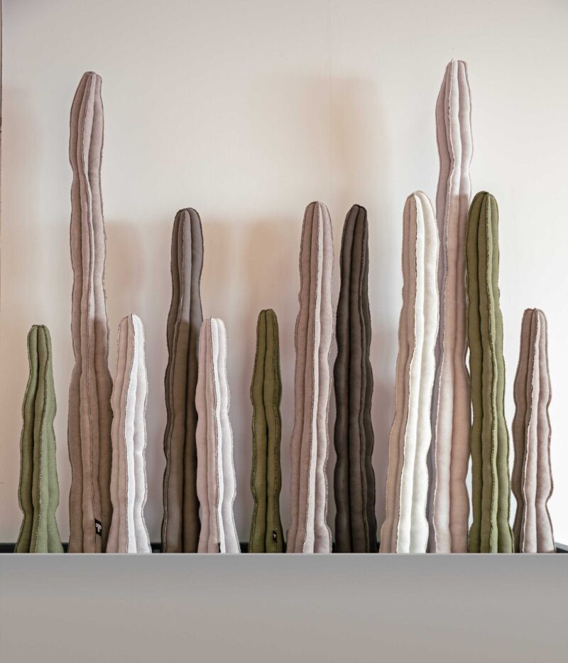 Cactus XXL