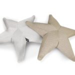 Starfish