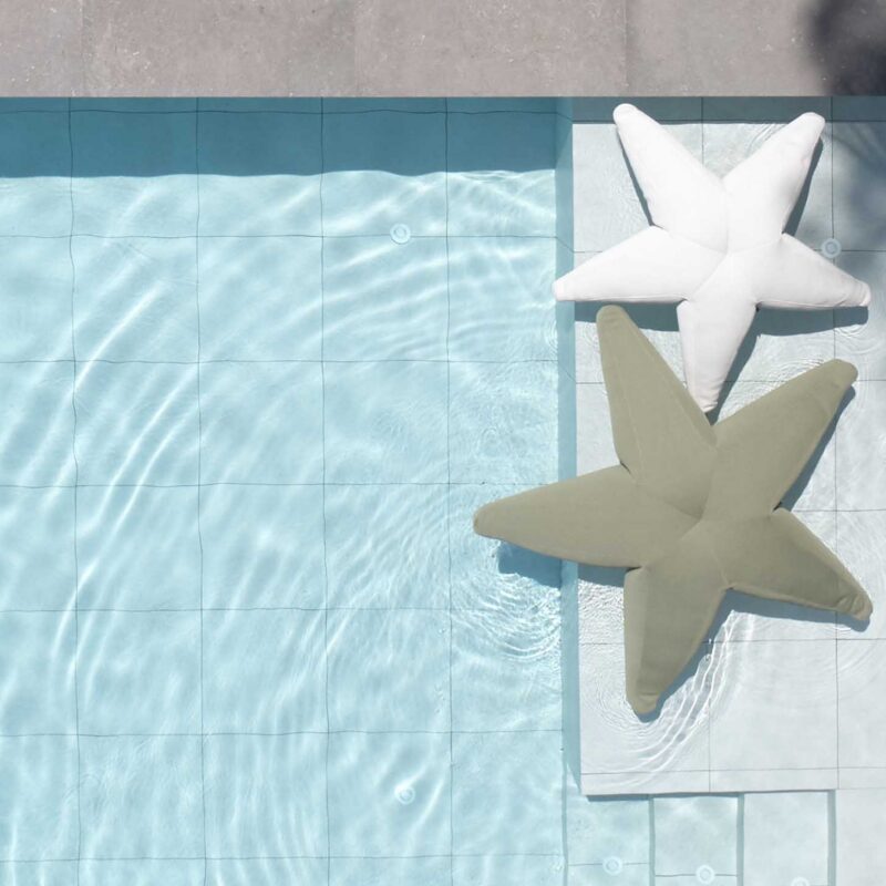Starfish