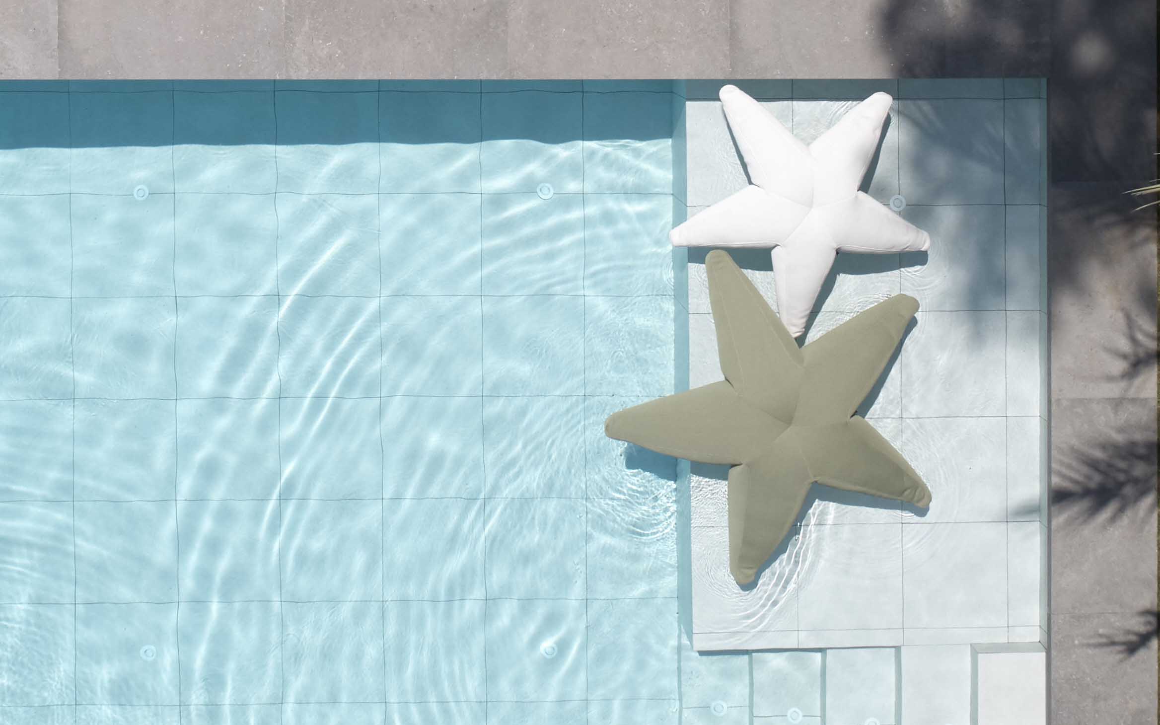 Starfish